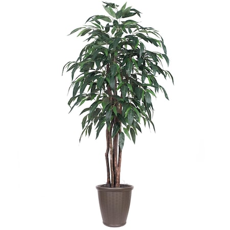 Dare2Decor 6 ft. Mango Executive Everyday Tree in Brown Container, Green DA3269825